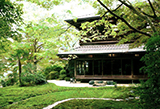 京都本院　瑠璃光院